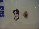 rimg0187.JPG