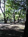 image402.jpg