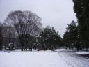 rimg0052.jpg